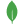 MongoDB